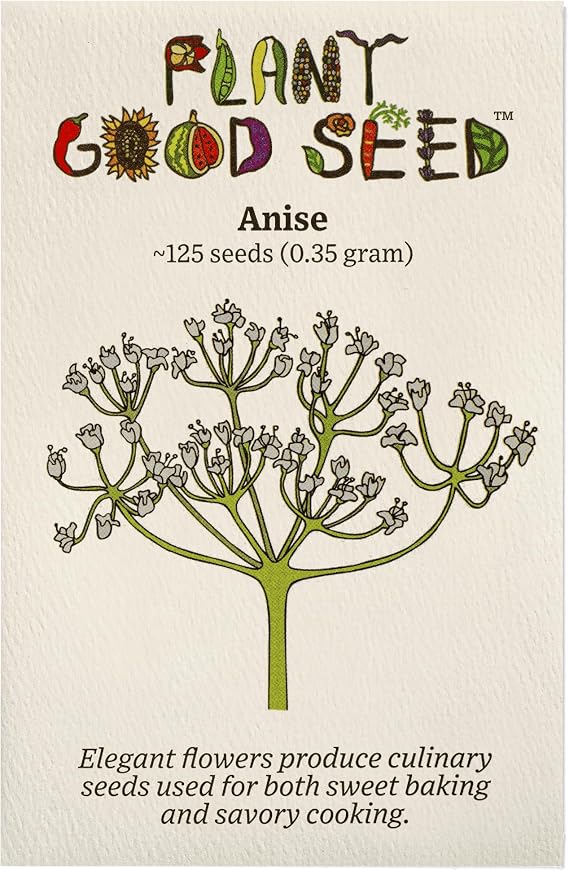 Plant Good Seed Anise Seeds for Planting: 125 Count
