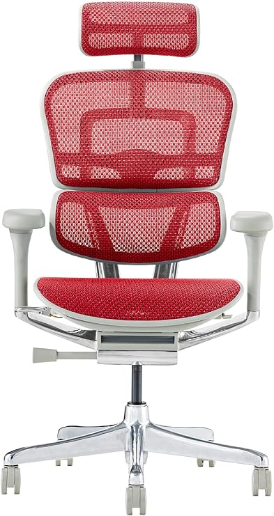 Ergohuman 2 EHP2-HAM-DR-GF-RD (PU) 445413 Office Chair with Headrest, Elevation Type, Memory Locking Function, Elastomeric Mesh, PU Caster Pro, High Type, Frame: Gray, Mesh: Red, Sekai Furniture