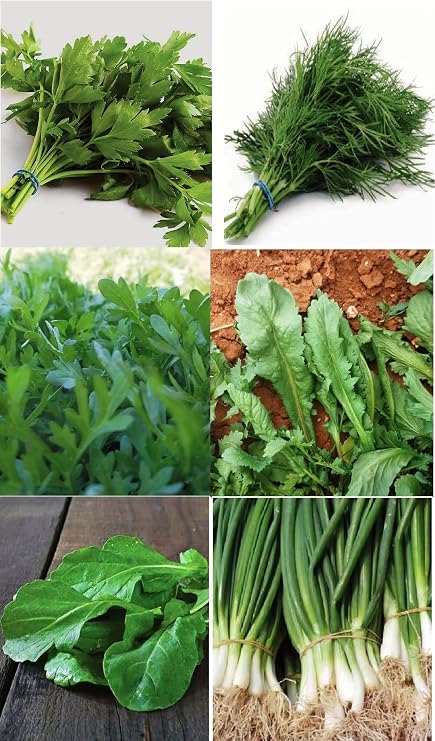Agrodal Agriculture Horse Seed Local Greenery Vegetables 6000 Seeds Economic Package