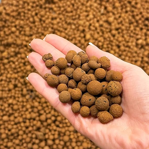 bhomescent Clay Pebbles for Hydroponics, Plant Pots & Orchids – LECA Balls for Drainage, Terrariums & Indoor Plants – Lightweight Expanded Clay Growing Media (5L)