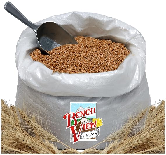 Organic Hard Red Wheat Berries - 24lbs