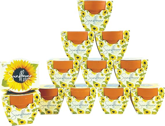 BUZZY Seeds All-in-One Sunflower Grow Kit 12-Pack - Mini Terracotta Pot Grow Set - Complete Indoor/Outdoor Gardening Kit with Seeds, Coconut Husk Growing Medium & Genuine Pots - 100% Grow Guarantee