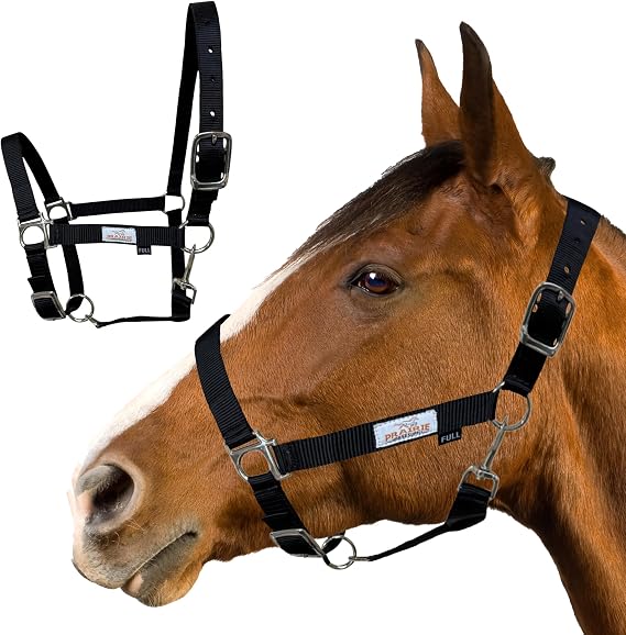 Prairie Horse Supply Nylon Horse Halter - 1 Inch Wide, Horse Halter Adjustable, Horse Harness, Horse Equipment and Supplies - Ideal for Equestrian Use