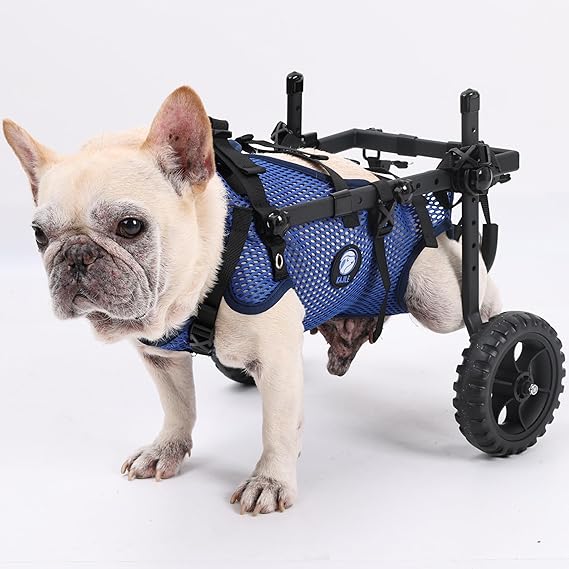 Two-Wheel Folding Dog Wheelchairs,Small Pet Hind Leg Wheelchair,Adjustable Dog Wheelchair for Back Legs,Blue,XS