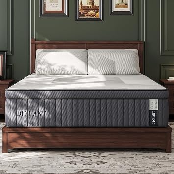 DIGLANT Queen Mattress, 14 Inch Euro Top Premium Memory Foam Hybrid Mattress, Plush Feel Pocket Springs Queen Size Mattresses, Pressure Relief & Balance Support, CertiPUR-US Certified, 6080
