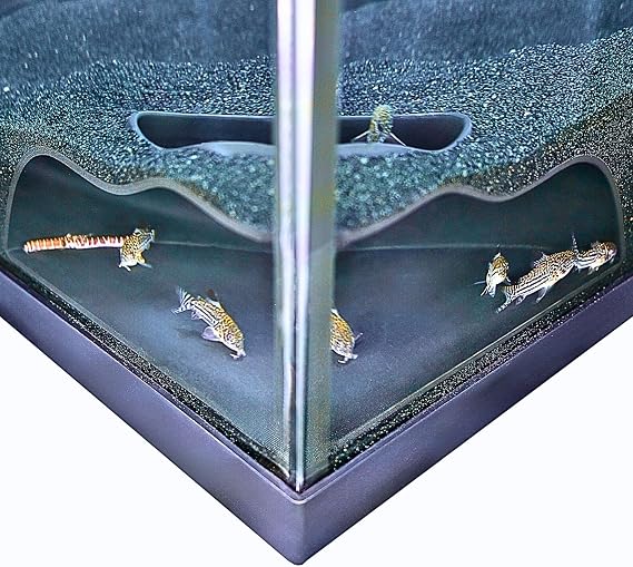 Lucky Critter Aquarium Underground Corner Cave Natural Curve | Viewing Fish & Shrimp Under Gravel Tunnel | Fish Tank Decor Decoration Hideout Perfect for Corydora Catfish, Kuhli Loach, Pleco