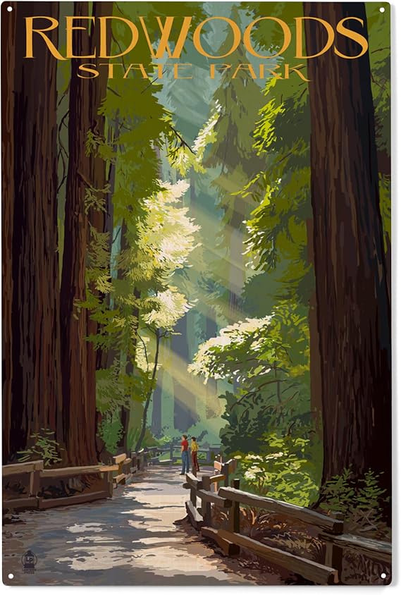 Lantern Press Wood Sign, Redwoods State Park, California, Pathway in Trees