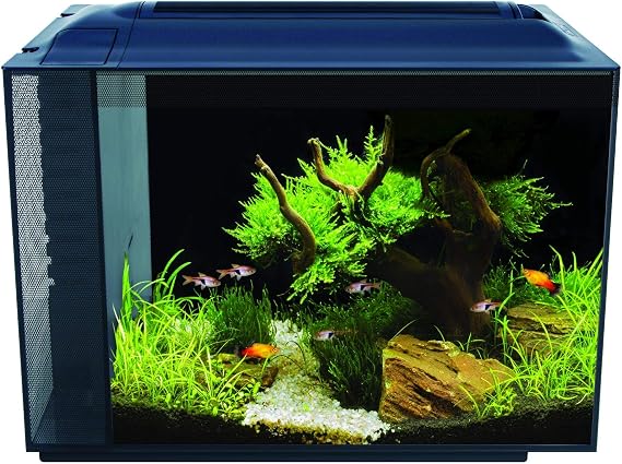 Fluval Spec V Aquarium Kit (16 gal.)