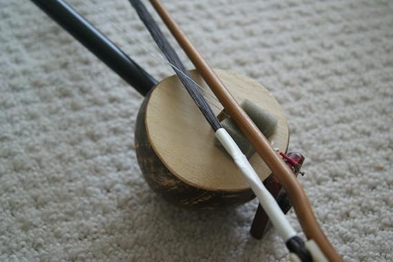 Southern Chinese Folklore Coconut 2 Strings Huqin (Violin of Southern Chinese version)