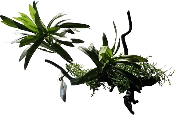 Plant on Tree Branch Artificial Aquarium Ornament 10 Inches Tall, Realistic Look and Feel Silk Plants on Driftwood, Resin Aquarium or Fish Tank Decoration