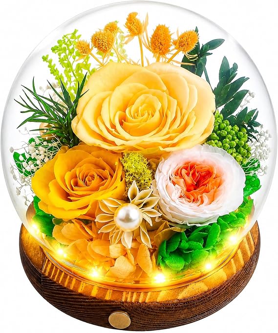 Elover Preserved Roses in Glass Dome with LED Light Long Lasting Real Flowers,Forever Eternal Rose for Mother's Day,Valentine's Day,Birthday Gifts for Women,Mum,Wife,Girlfriend (Champagne)