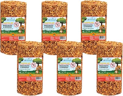 JCs Wildlife Squirrel Stopper Bugs Nuts & Berries Small Cylinder with Hole 1.5lbs 6-Pack