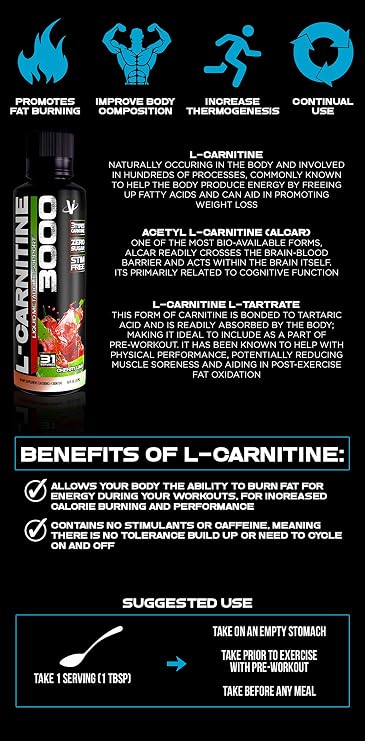 VMI Sports L-Carnitine 3000 Liquid | 3000 mg Carnitine Supplement | Zero Calorie Zero Sugar Keto Friendly for Men and Women Great Tasting| 31 Servings