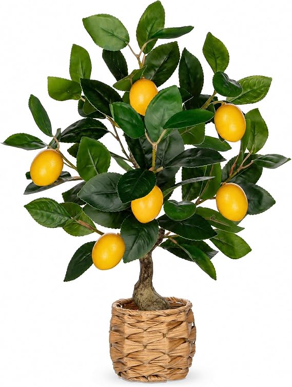 Artificial Potted Plants Small Fake Lemon Tree Artificial Lemon Tree in Pot