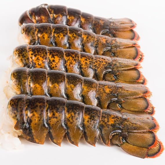 Today Gourmet - Lobster Tails (Maine) (10oz-12oz tails) 10lb case 14-16 Tails