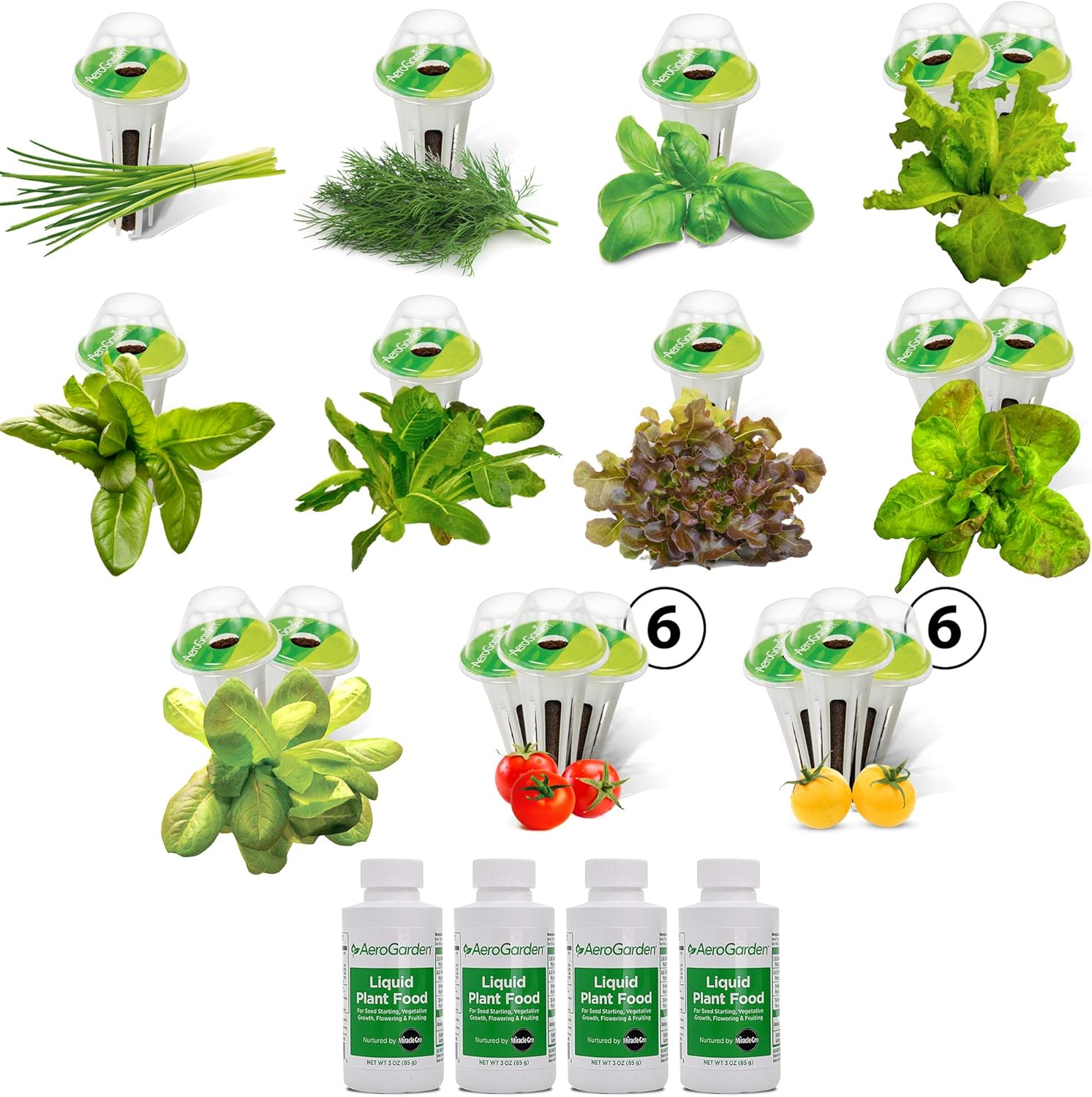 AeroGarden Heirloom Salad Greens Mix Seed pod Kit - Salad Kit for AeroGarden Indoor Garden, 3-Pod