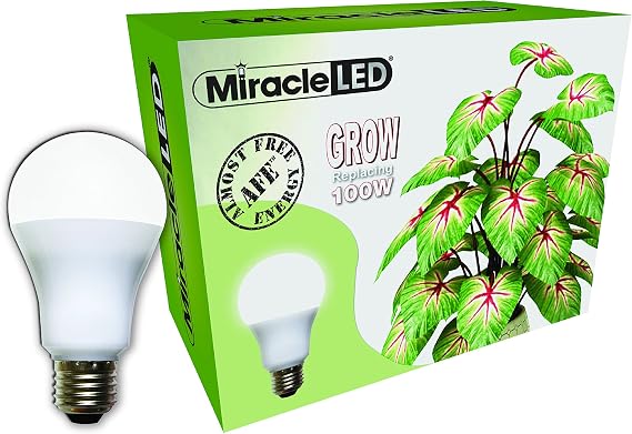 Miracle LED Almost Free Energy 9W Spectrum Grow Lite - Daylight White Full Spectrum LED Indoor Plant Growing Light Bulb for DIY Horticulture, Hydroponics, and Indoor Gardens (604293) Single Pack