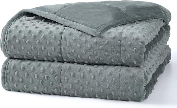 Alomidds Weighted Blanket, Luxury Velvet Heavy Blankets for Adults,Warm and Breathable Soft and Comfort Minky, Gravity Blanket with Premium Glass Beads (48"x72",20lbs Twin Size - Grey)