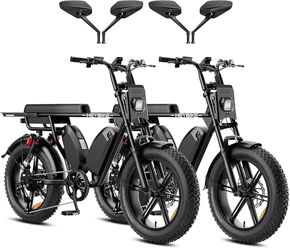 Heybike Saturn Electric Bike for Adults with 1800W Peak, 956.8Wh/1913.6Wh Removable Battery (52V 18.4A), 50/90 Miles, 20"x4.0" Fat Tire All-Terrain Ebike for Commuting/Off-Road Riding