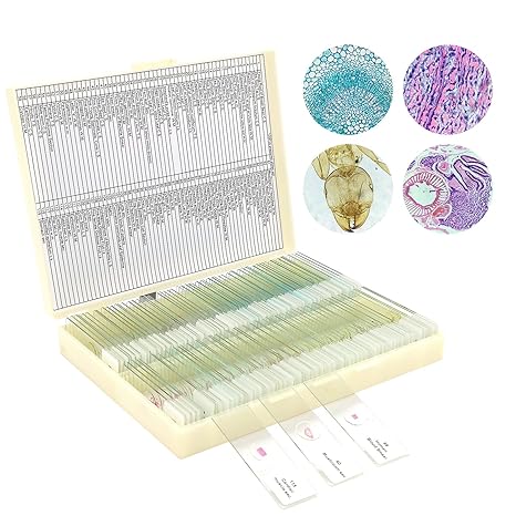 120 Microscope Slides with Specimens for Kids: Prepared Slides for Science | Prepared Microscope Glass Slides Kit for Kids 8-12, Biology Slides Set Gifts for Students Childs Lab School Education
