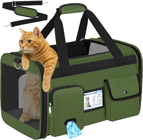 TEUEN Soft Sided Cat Carrier Airline Approved - Anti-Scratch Travel Bag for Cat/Dog/Small Pets, 360° Mesh Windows, Foldable with Washable Mat & Safety Leash (Up to 9kg)