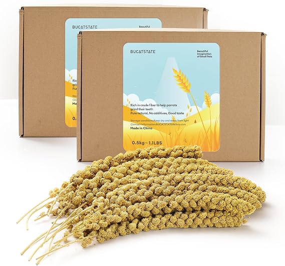 BUCATSTATE 2.2lbs Millet for Birds, Sun-Dried Parakeet Food for Parrot, Budgie, Cockatiel, Finches, Lovebird, GMO-Free Parakeet Treats (2.2lbs)