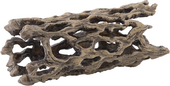 Exo Terra Cholla Cactus Skeleton, Medium