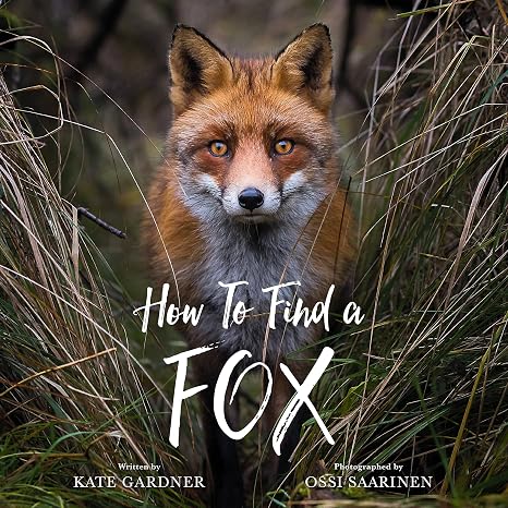 How to Find a Fox