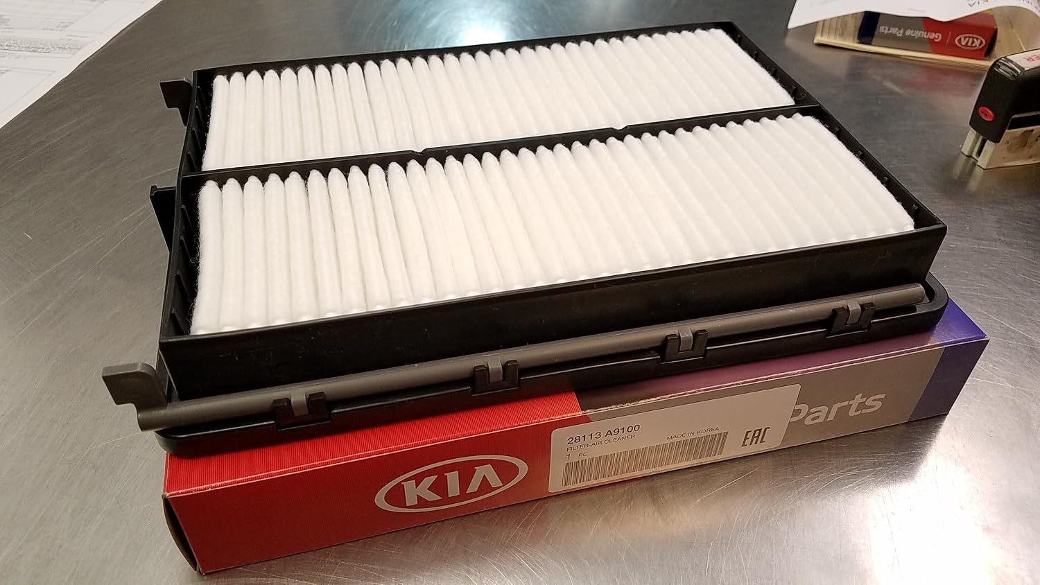 New Oem Kia Air Filter-28113-a9100
