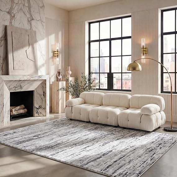 SAFAVIEH Area Rug 8x10 - Amelia Collection - Large - Light Grey & Charcoal, Modern Design, Non-Shedding & Easy Cleaning, Ideal for Living Room, Bedroom, Office, Dining Space (ALA768F)