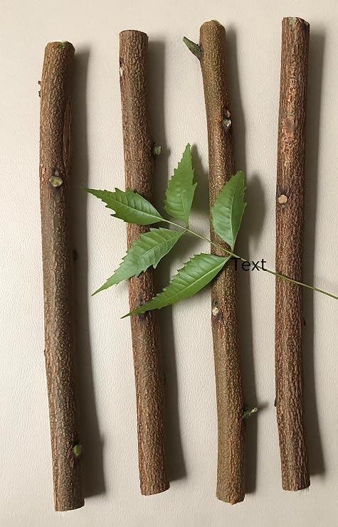 Ayurvedic, Natural Organic Neem Datun, Nim Tree Twigs, Fresh Cut Neem, Nimba Chew Sticks, Natural Toothbrush, Dataun, Datoon, Product of USA. 4 Sticks in Each Pack.