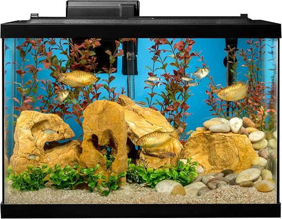 Tetra Complete 20 Gallon Fish Tank Kit for Freshwater & Saltwater Fish
