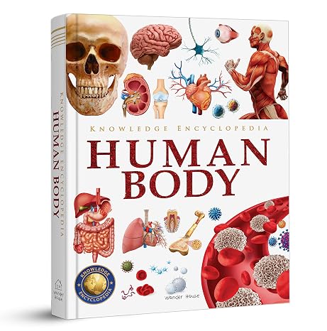 Knowledge Encyclopedia - Human Body (Knowledge Encyclopedia for Children)