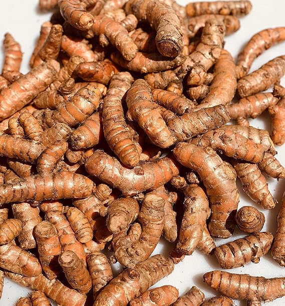 Kejora Fresh Whole Raw Turmeric (1)