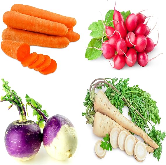 Root Vegetable Seeds Variety Pack Carrot, Radish, Turnip & Parsnip Non-GMO Heirloom Garden Seeds for Planting Home Vegetable Garden Starter Kit Easy to Grow, High Yield