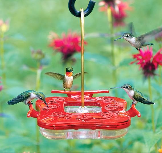 Aspects HummZinger Highview Square Hanging Hummingbird Feeder with Built in Ant Moat
