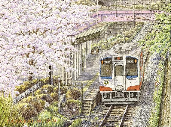 Pintoo Jigsaw Puzzles 1200 Piece for Adults - Tadashi Matsumoto - Sakura in Full Bloom Beautiful Plastic Puzzle for Home Decor Zero Dust Easy Storage [H3058]